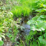 Thumbnail of post image 106