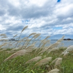 Thumbnail of post image 049