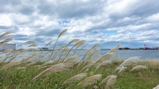 Thumbnail of post image 061